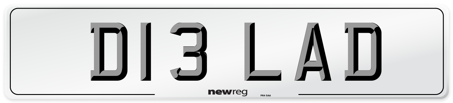 D13 LAD Number Plate from New Reg